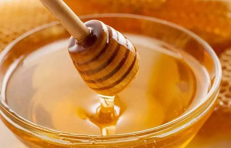 সুন্দরবনের মধু